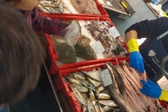 Lonja-