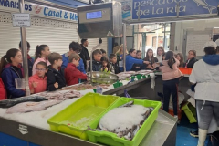 Mercado24-.32-3