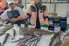 Mercado24-.32