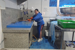 Mercado24-.33-4