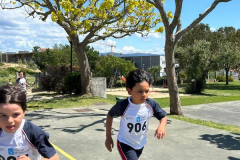 CARREIRA-INF25-.33-1