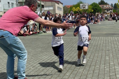 MiniCarr24-.26-20
