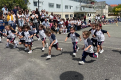 MiniCarr24-.26-9