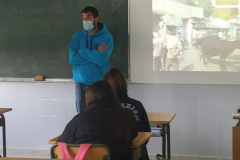 Volunt22-035