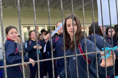 Paz2026-.08-23