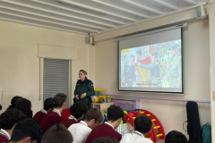 PlanDirector26-.00-2