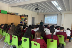 PlanDirector26-.01-1