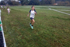 Carrera-Primaria-002