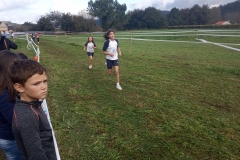 Carrera-Primaria-003