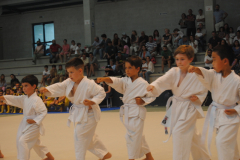Ritmicafin22-061