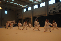 Ritmicafin22-072