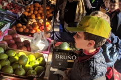Escursión-correos-2019-1-EP-030