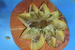 Samaín-3-anos-2019-038