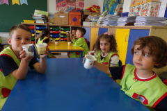 Sementes-004