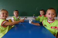 Sementes-006