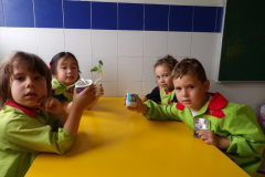 Sementes-007