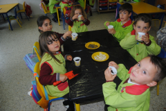 Sementes-017