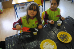 Sementes-018