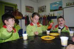 Sementes-019
