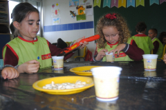 Sementes-020