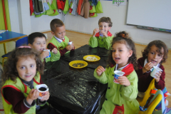 Sementes-023