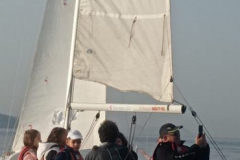 Vela22-.22-001