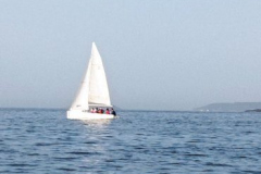 Vela22-.22-4