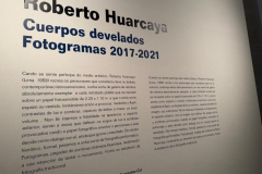 Vigo26-.13-3