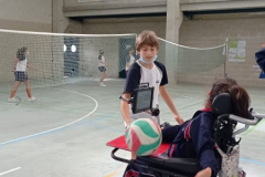 Volley-.05-PM-1