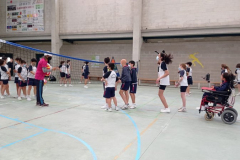 Volley-.12-PM-1