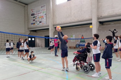 Volley-.12-PM-2