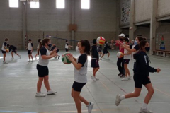 Volley-.14-PM-001