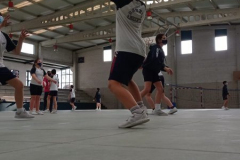 Volley-.14-PM-1-001