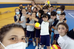 Volley-.14-PM-1