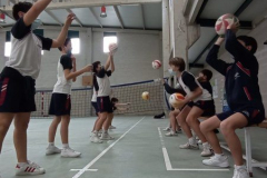 Volley-.15-PM