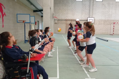 Volley-.16-PM-2