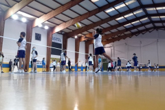 Volley-.17-PM-1-001