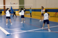 Volley-.19-PM
