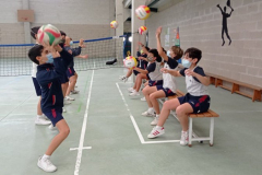 Volley-.29-PM