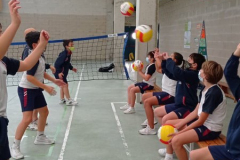 Volley-.30-PM