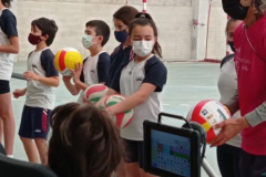 Volley-.32-PM-2
