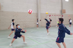 Volley-.33-PM-1