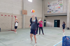 Volley-.33-PM-3