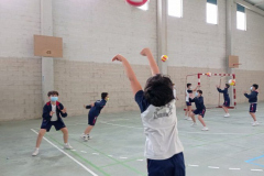 Volley-.33-PM