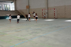 Xogade2-.24-PM-4